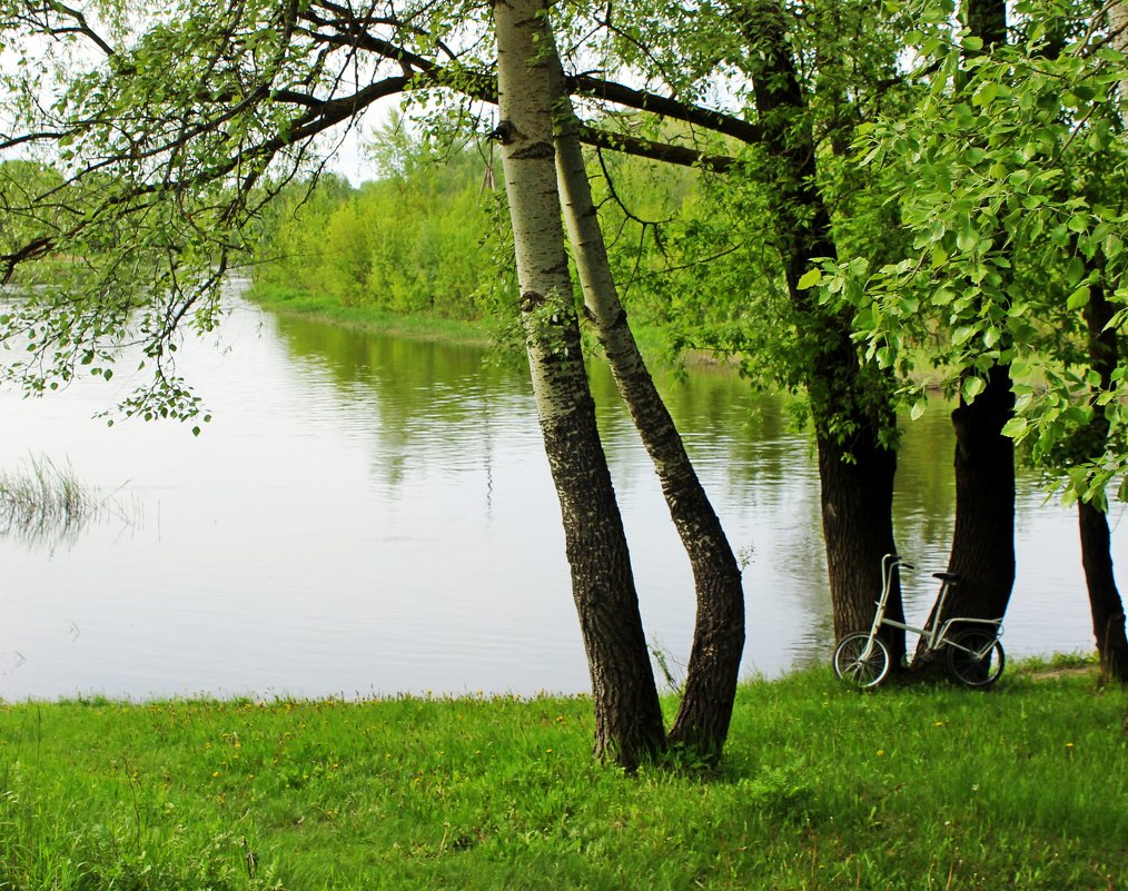 Я буду долго гнать велосипед... - Валентина ツ ღ✿ღ