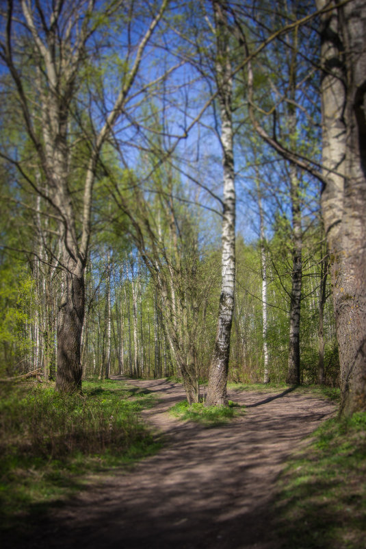 Парк - Юля Шрамм