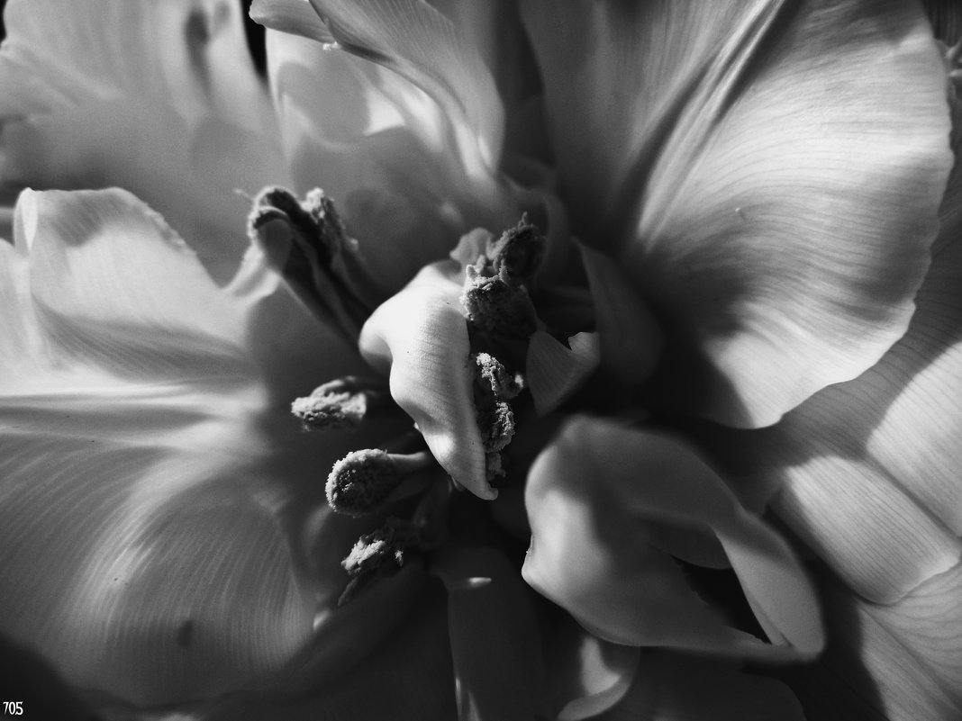 Шелк - Анна Куценко