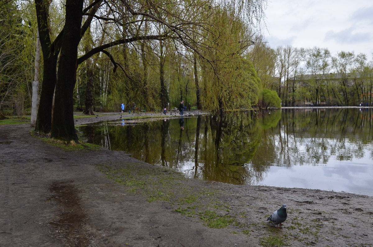 В городском парке - Елена ***