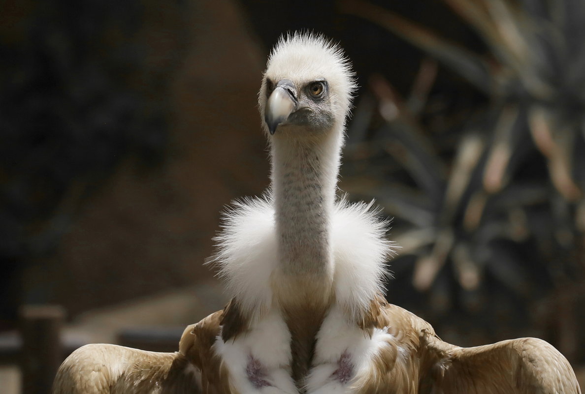 Председатель парткома - Михаил Председатель парткома - Михаил