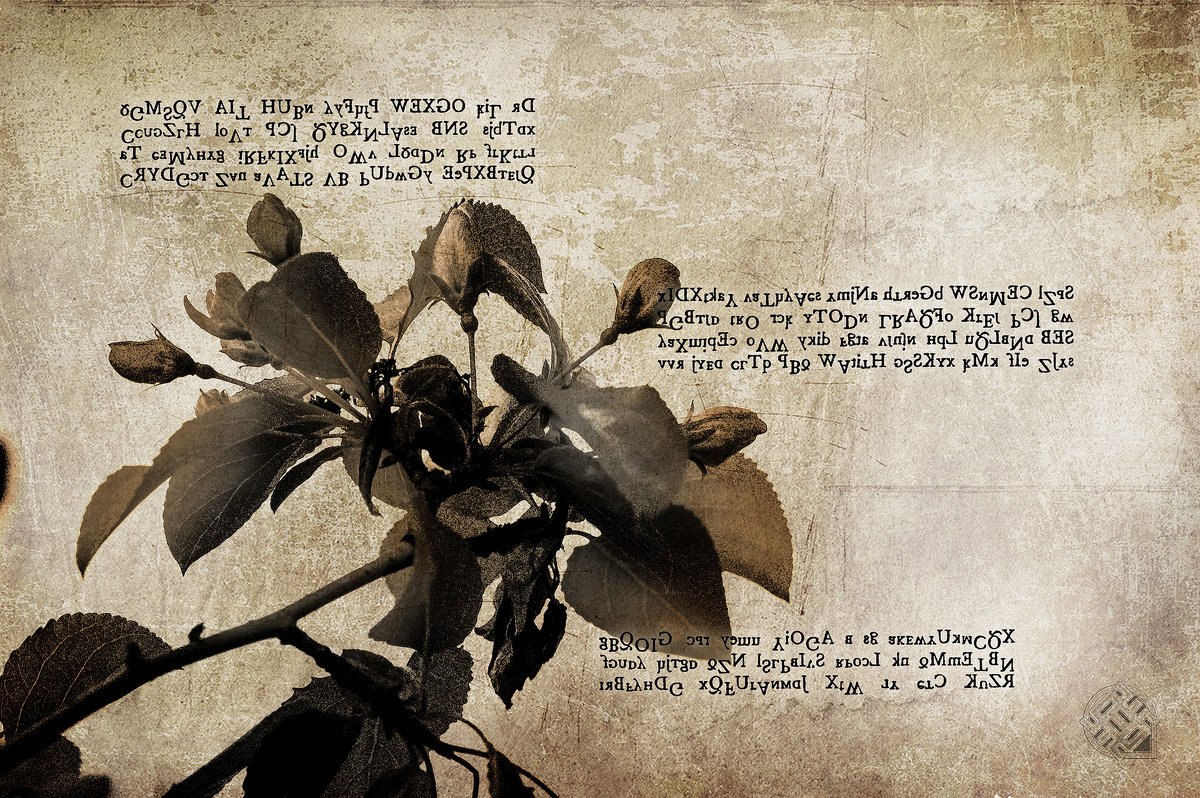 Ботаника - Хась Сибирский