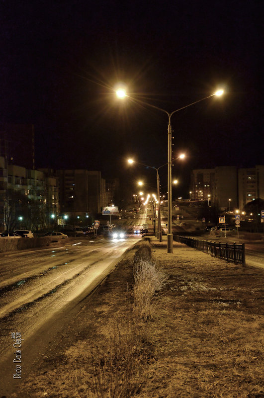 ночной Лесной - Denis Osipov