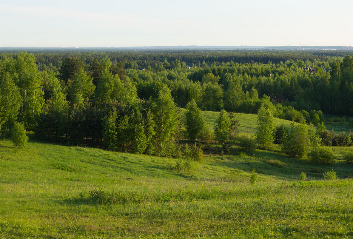 * - Алексей Герасимов