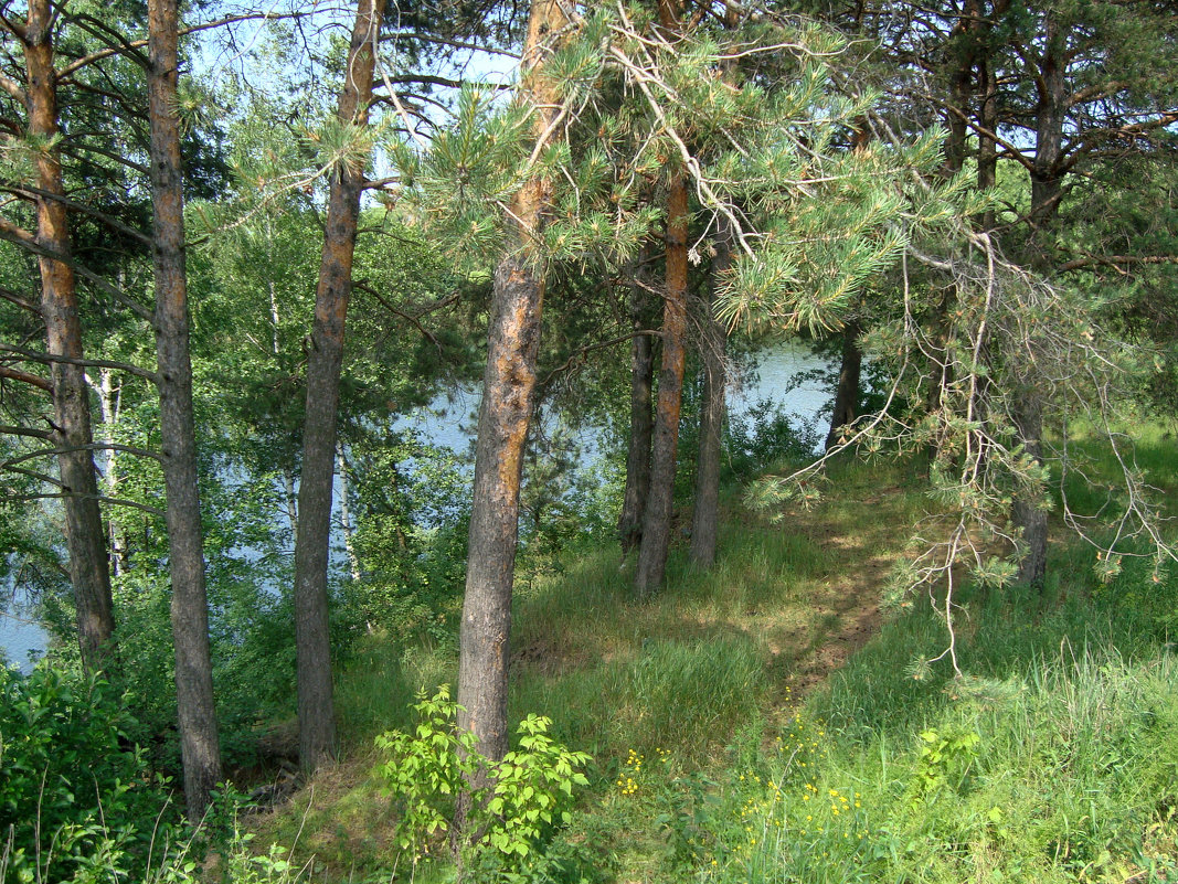 к воде тропинка... - Галина Флора