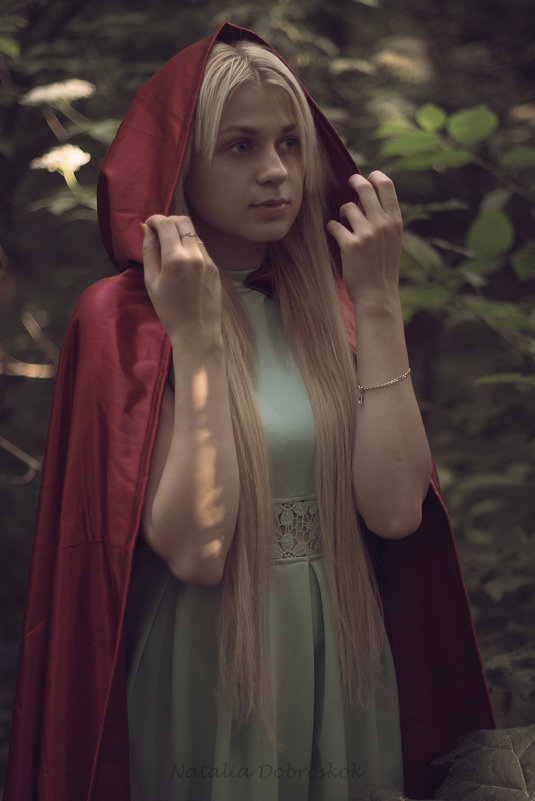 Красная шапочка - Наталья Доброскок Красная шапочка - Наталья Доброскок