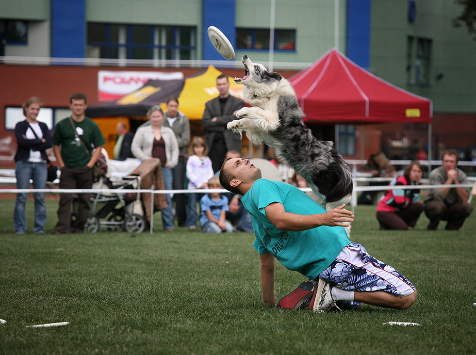 фрисби - Игорь Зайцев