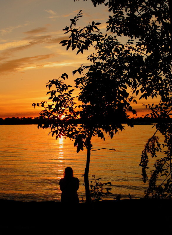 На закате - Николай Алехин