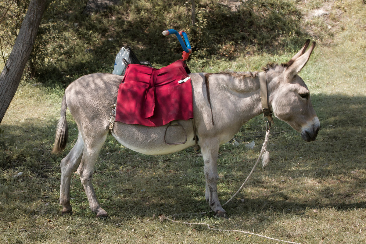 Экомобиль ... - Vadim77755 Коркин Экомобиль ... - Vadim77755 Коркин