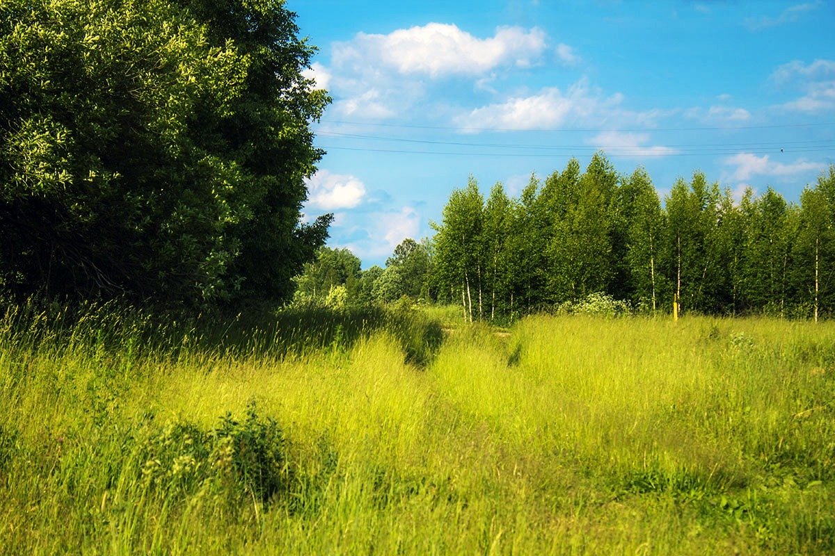 *** - Александр 