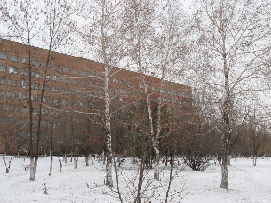 Городская больница - Лилия Дубчак