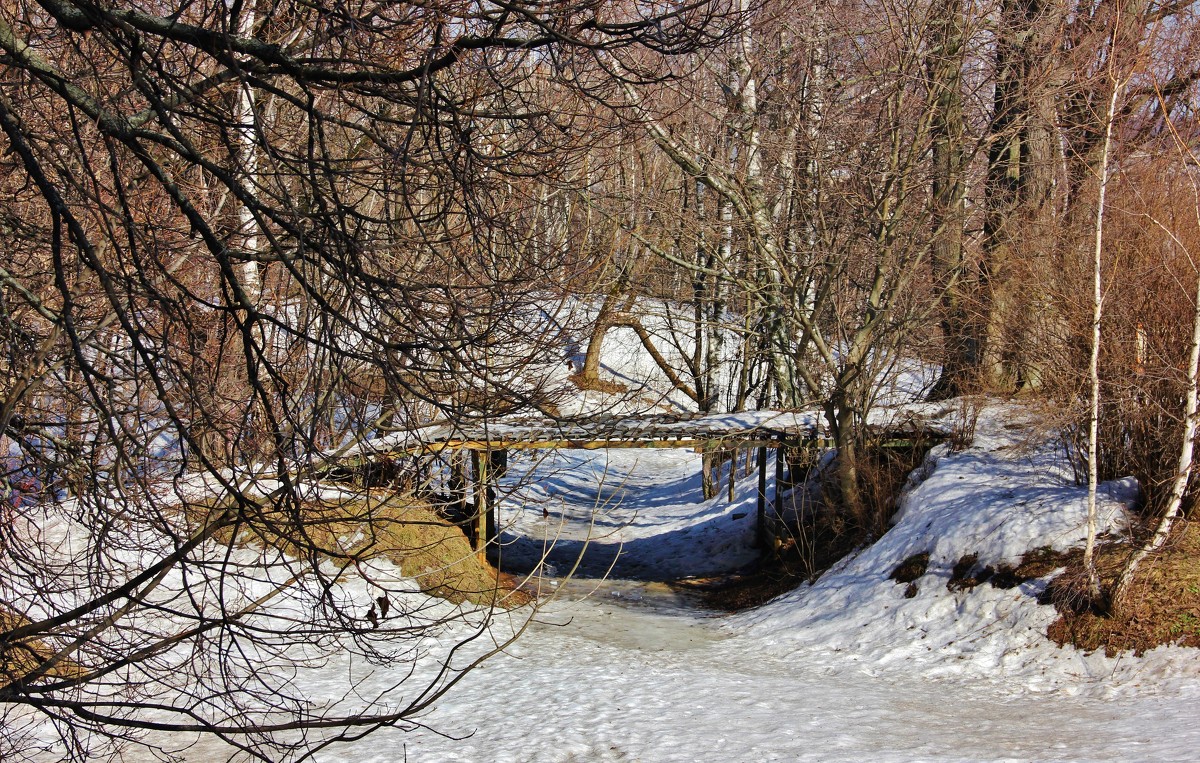 лесными тропами... - Наталья Щербакова