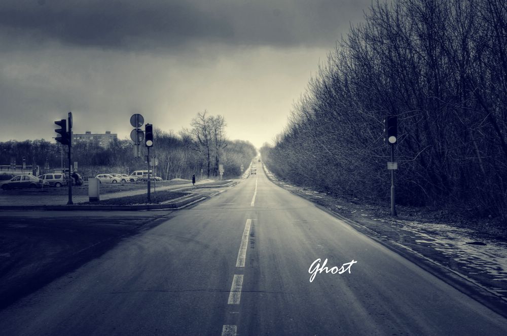 Дорога уходит в даль ... - Дмитрий Призрак Дорога уходит в даль ... - Дмитрий Призрак