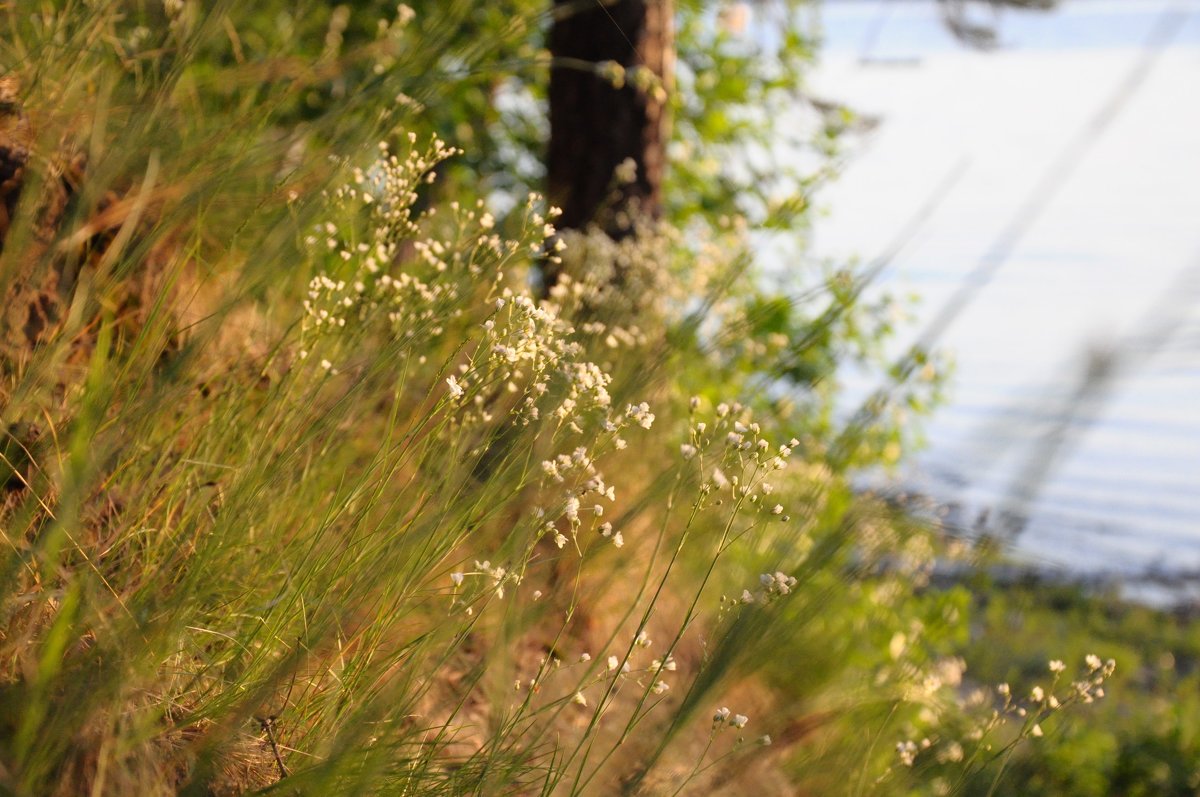 5.00 - Александр 