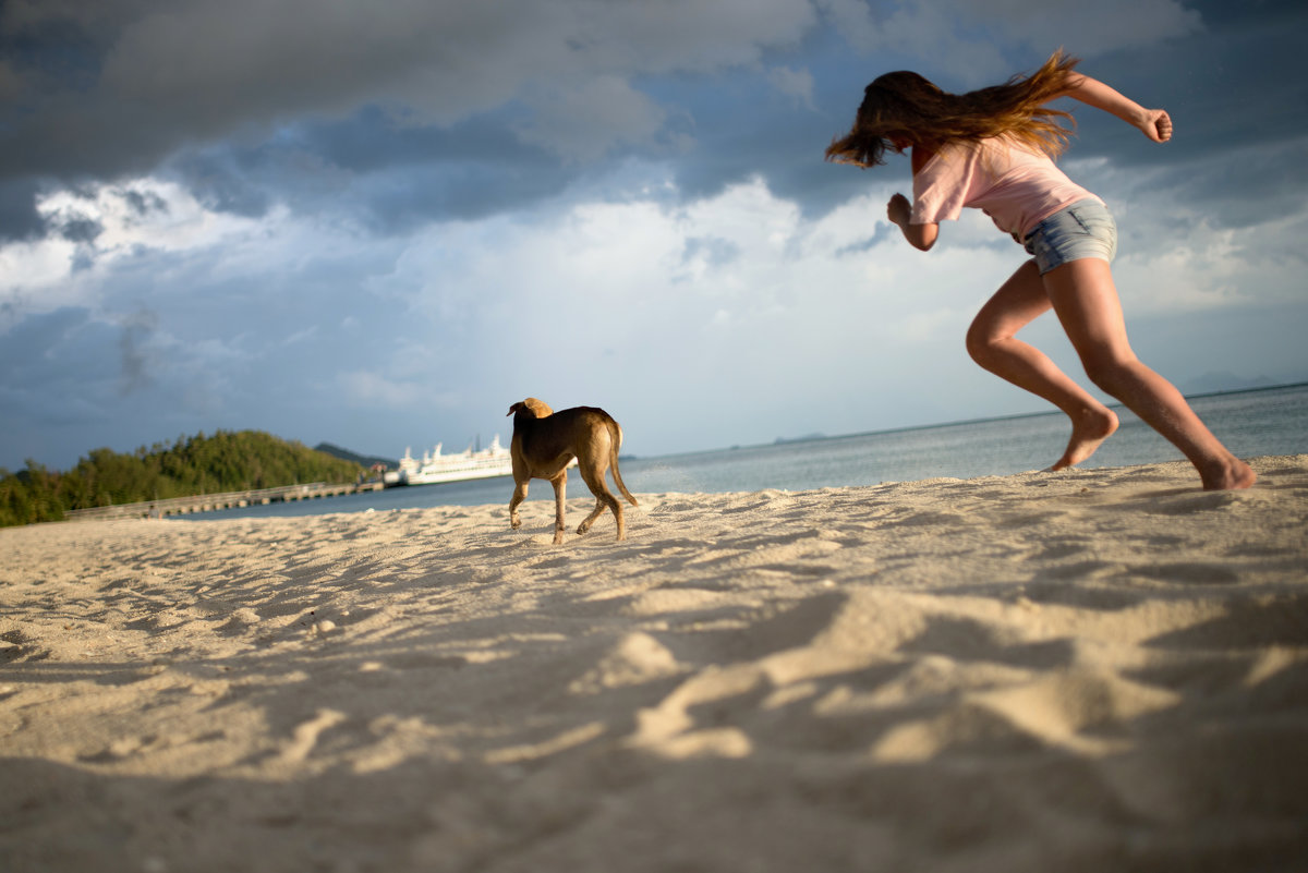 samui - Lara Korneeva