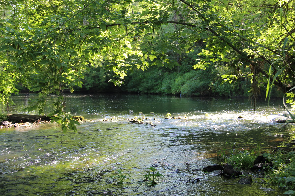 Всё перекаты, да перекаты. - Борис Митрохин Всё перекаты, да перекаты. - Борис Митрохин