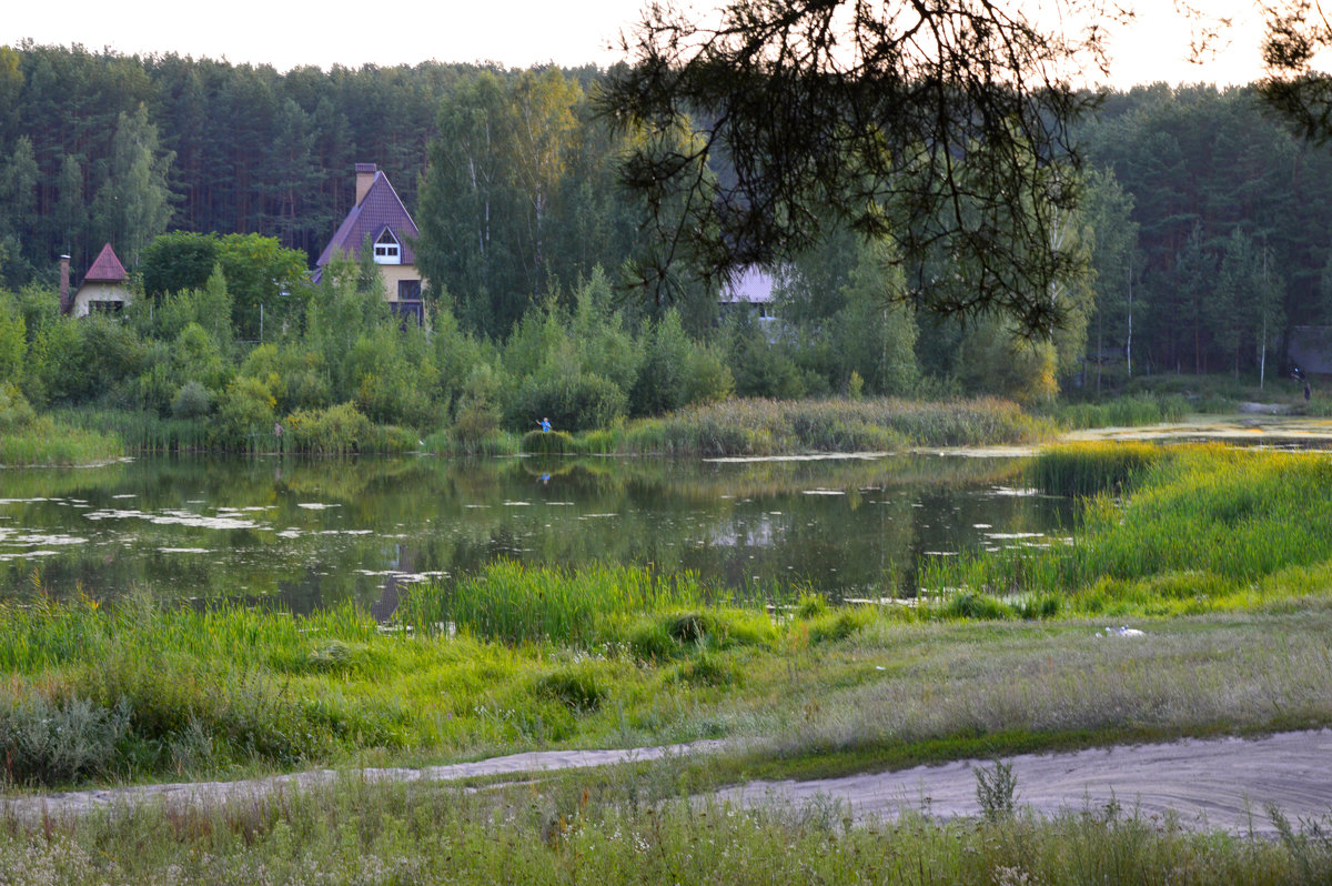 *** - Александра Петрухина