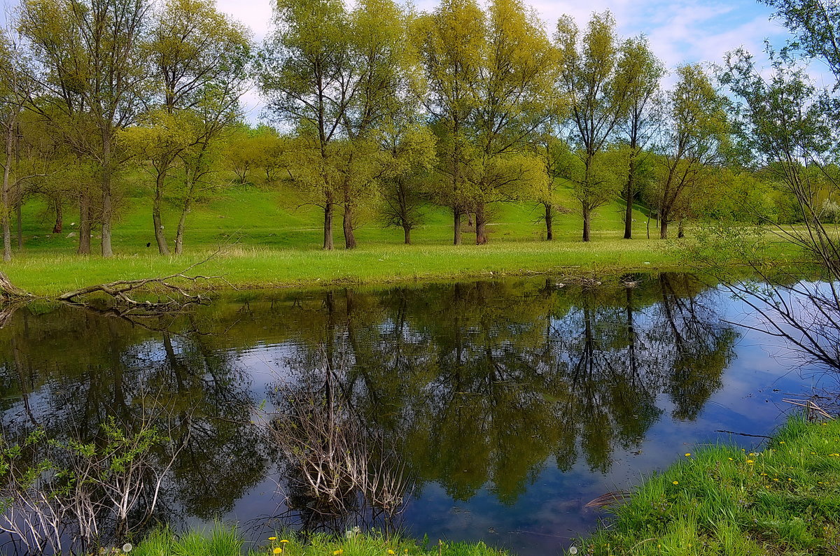 *** - Валентина Данилова