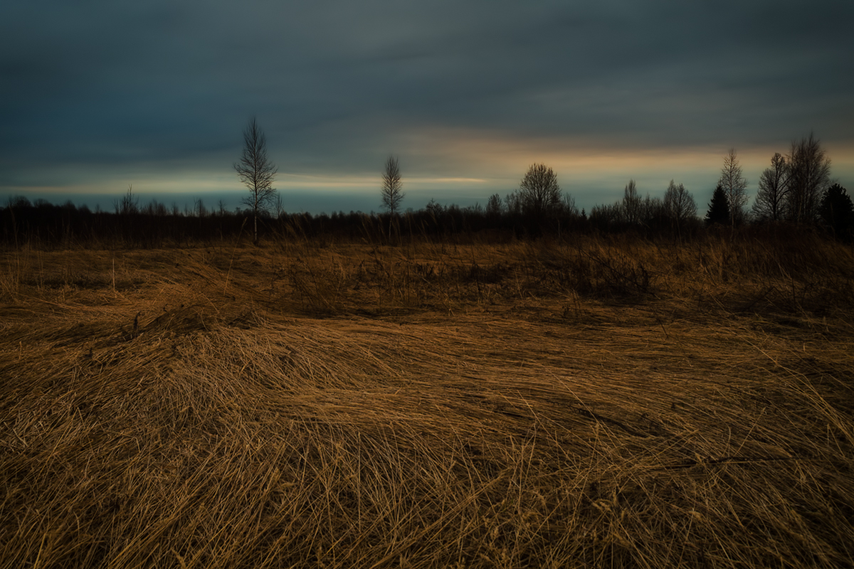 April morning. - Andrei Dolzhenko