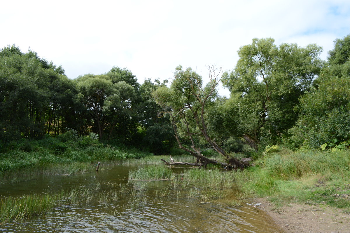 Протока..... - Диана Богдан Протока..... - Диана Богдан