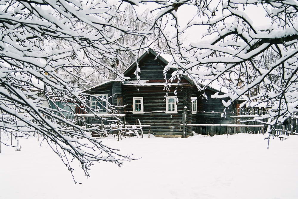 Дедушкин дом - Николай Полыгалин