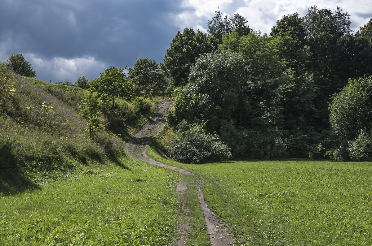 Перед грозой - shvlad 