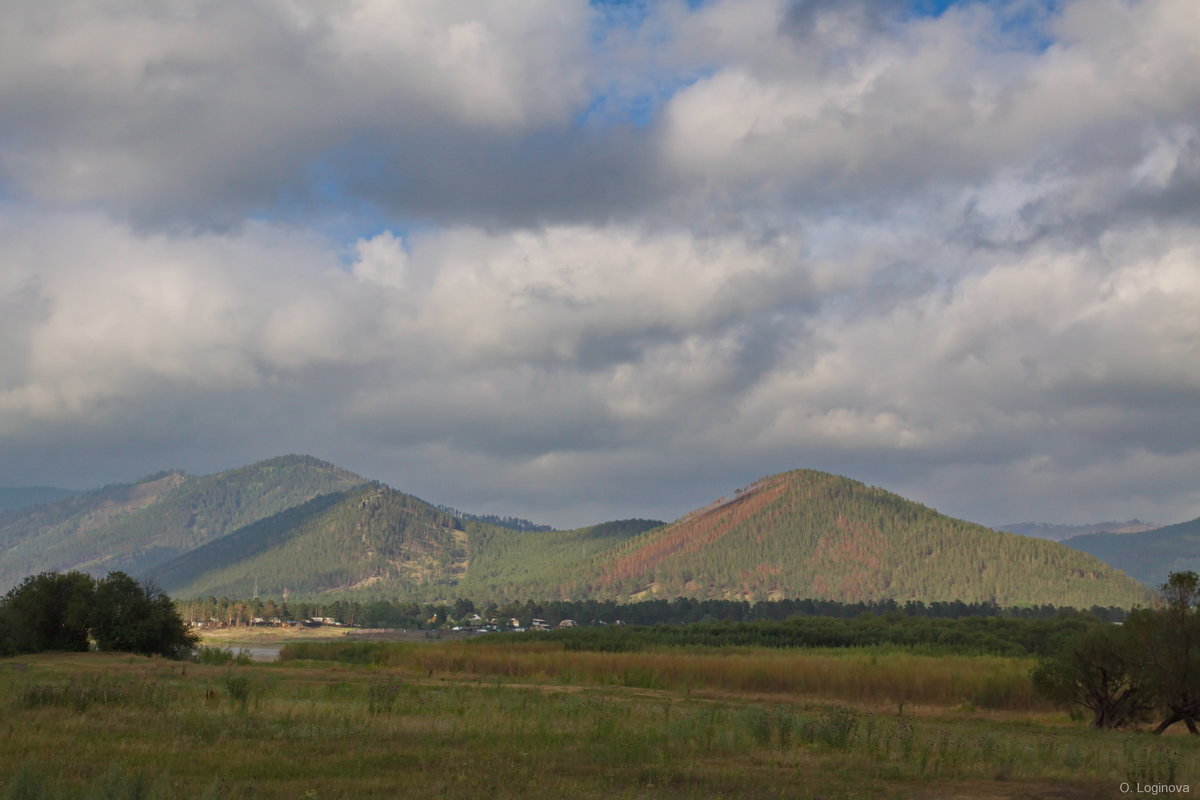 - - Ольга Логинова