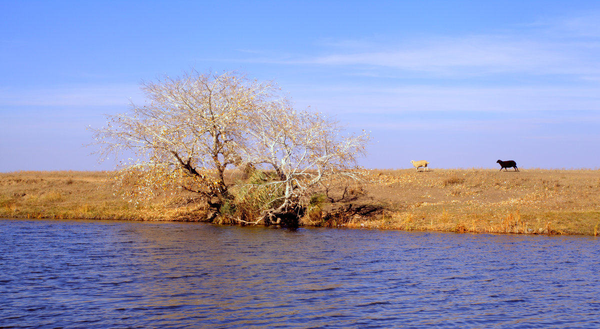 деревенская осень - Ильгам Кильдеев