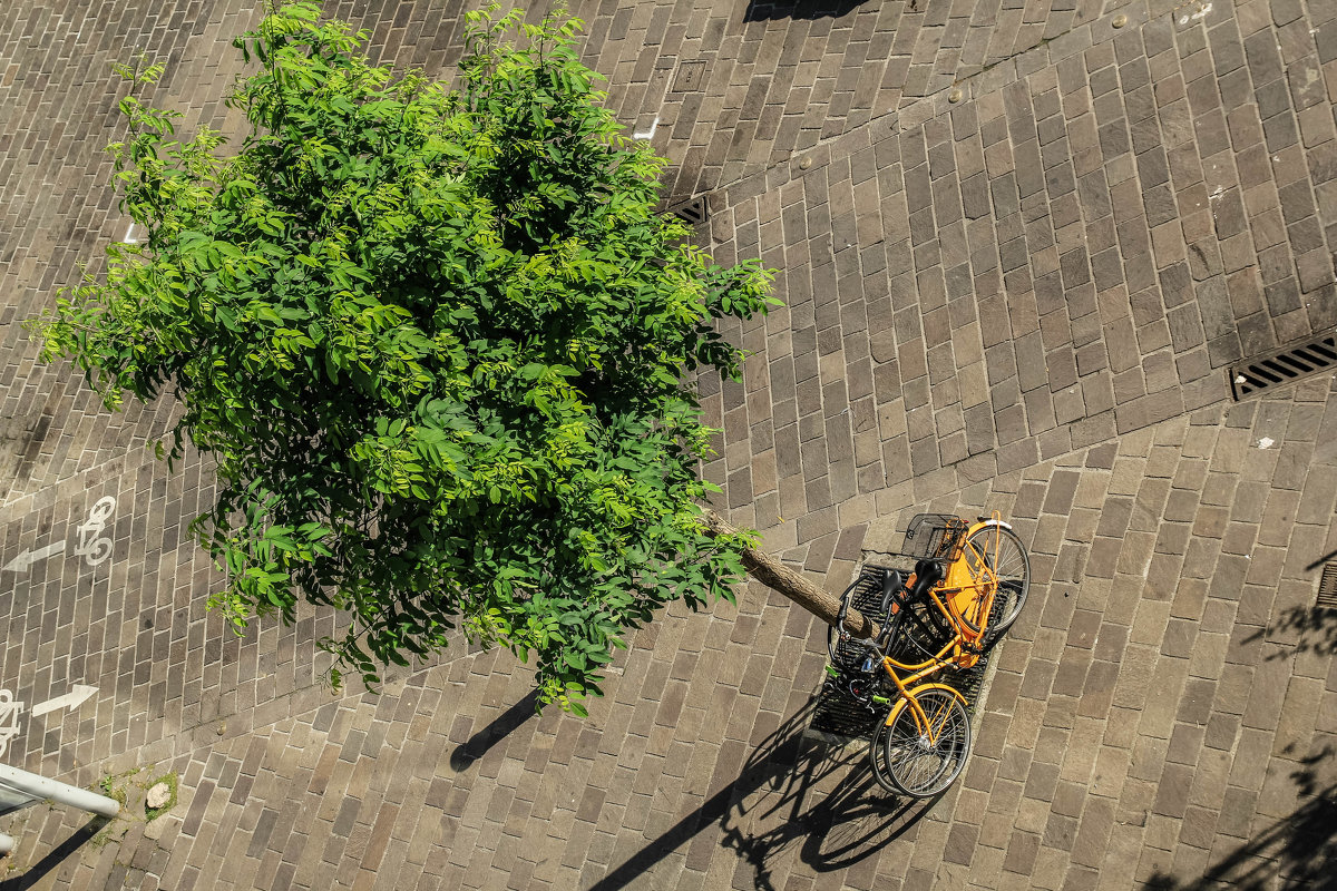 Bikelife/Gent - Alena Kramarenko