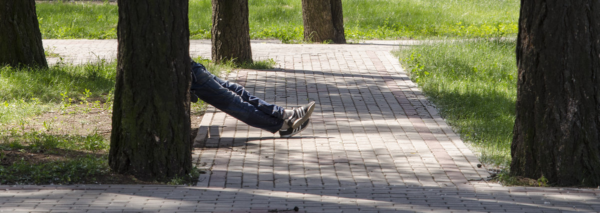 *** - Василий Либко