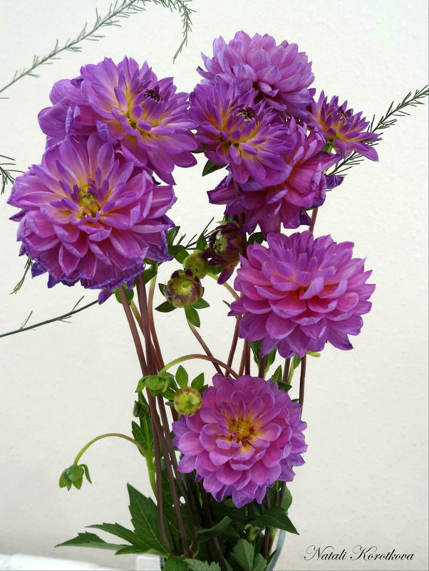 *** - Наталия Короткова