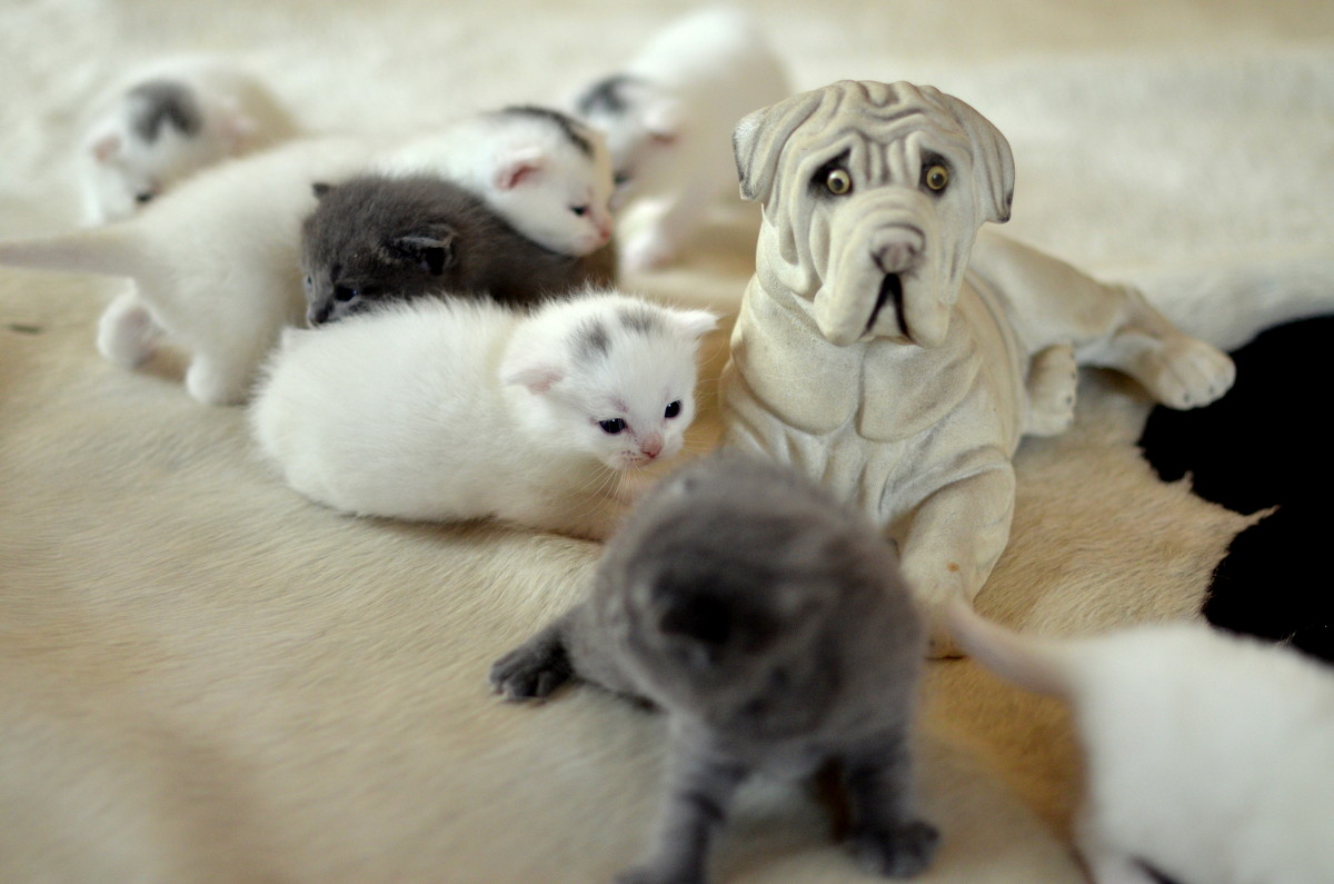 ... - Жанна Мальцева