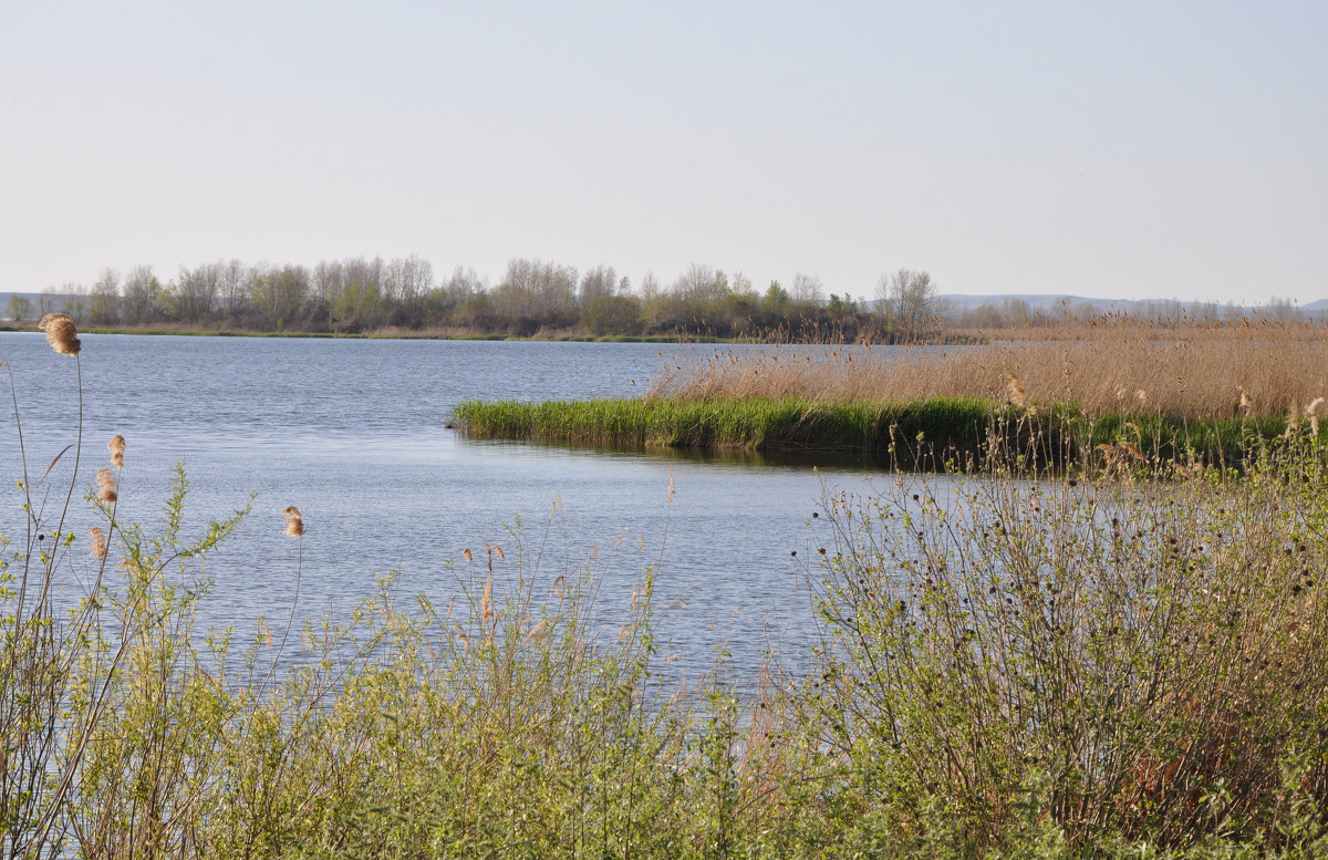 ... - Павел Катков