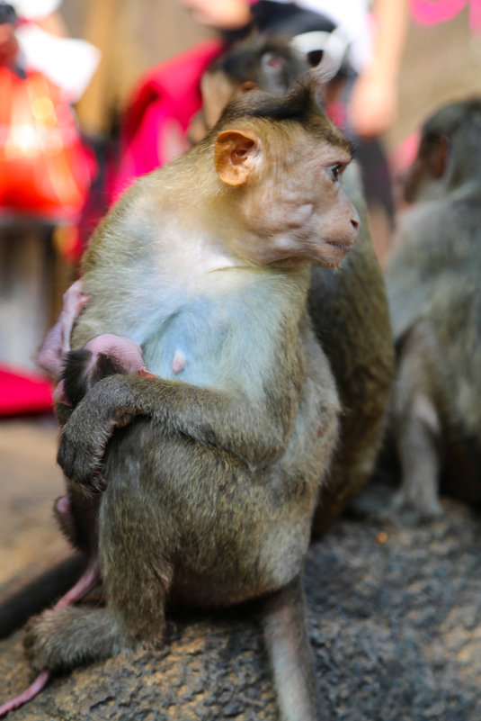 Позирование - Anton Lipatov