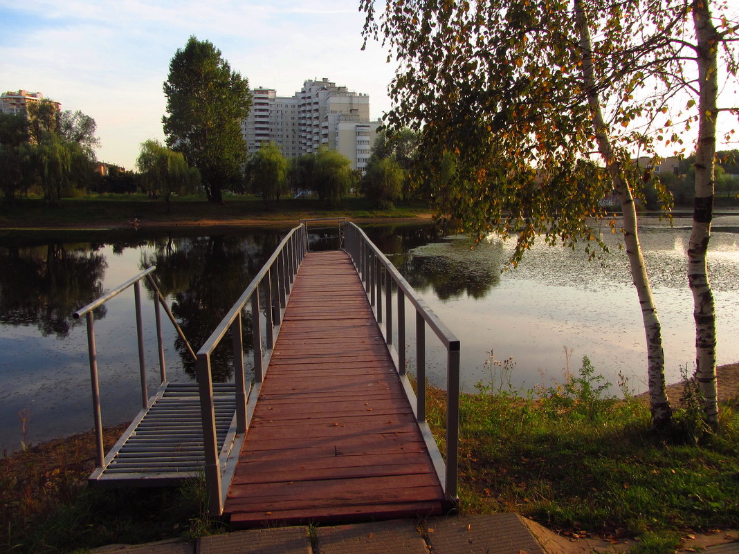 Сентябрьский вечер на пруду - Андрей Лукьянов