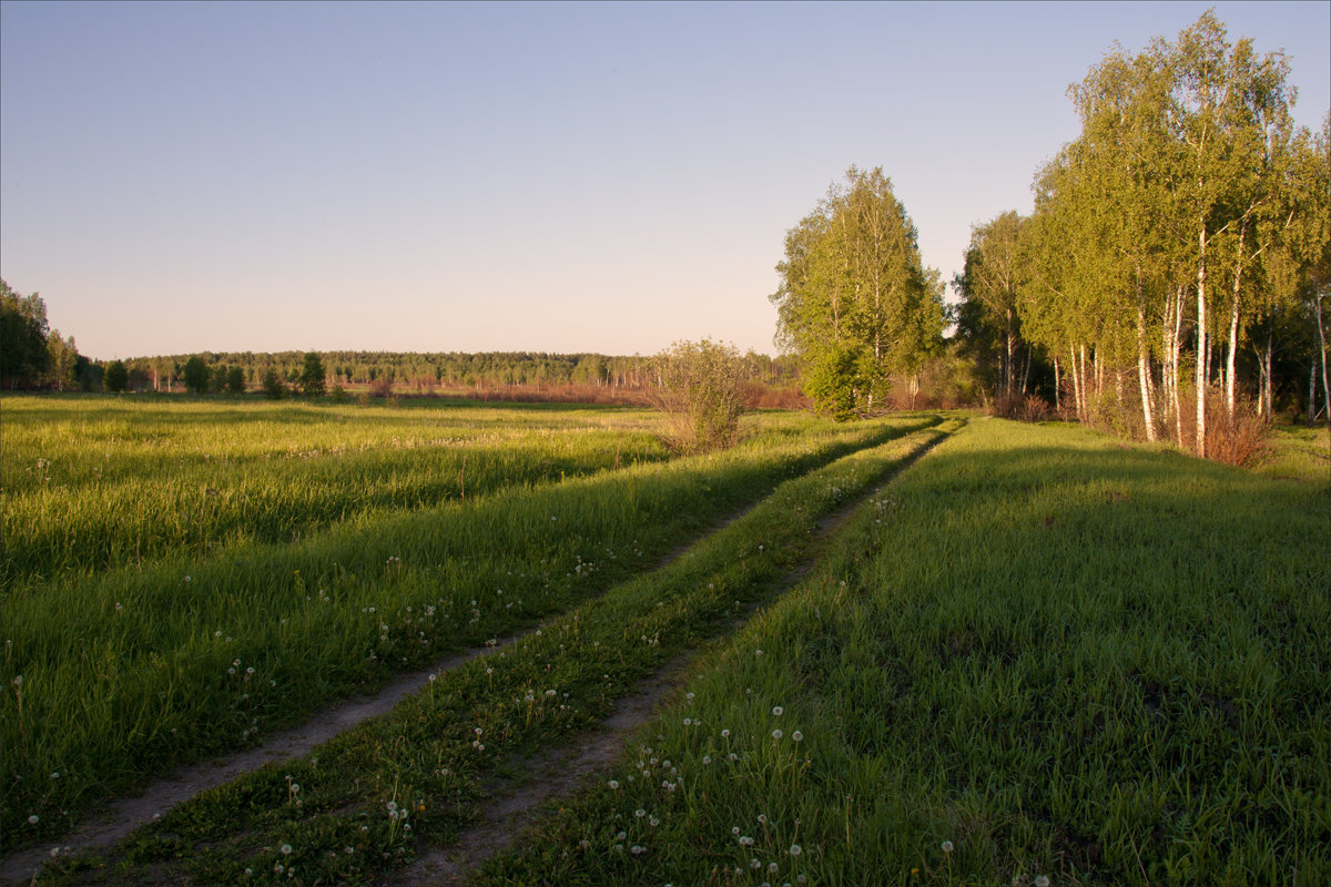 *** - Сергей Котусов