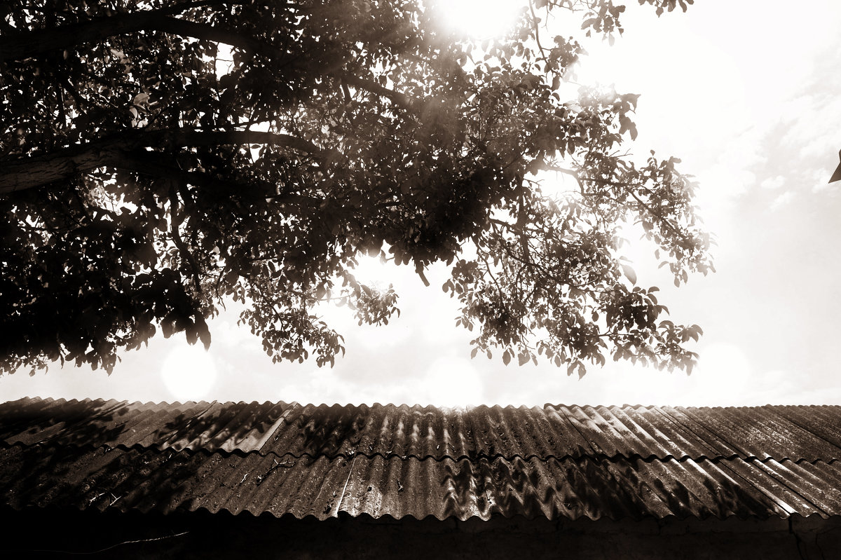 Чистое небо - Катерина Чебышева