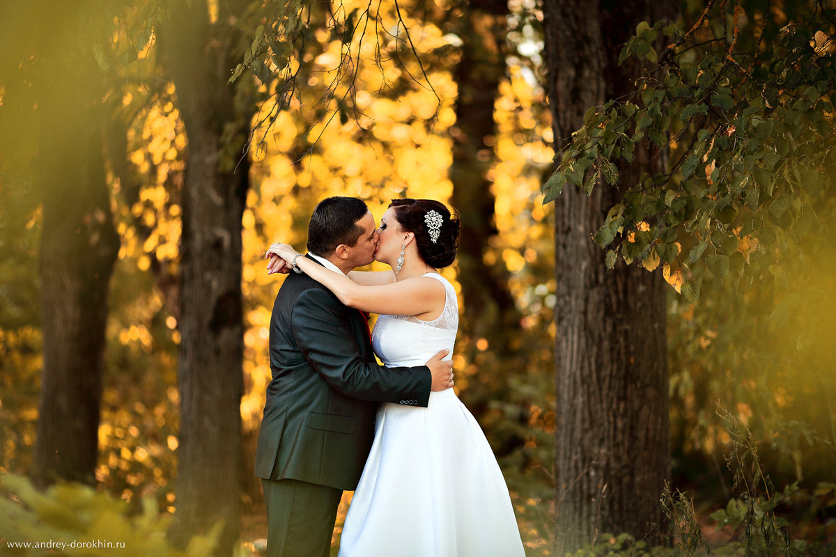 М+С - Андрей Дорохин