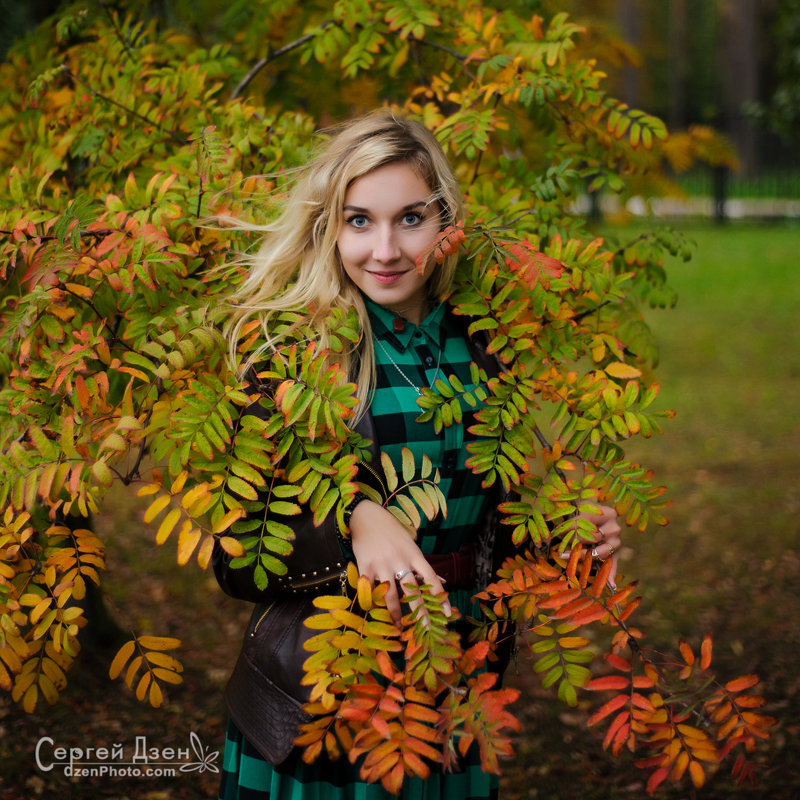 *** - Сергей Дзен