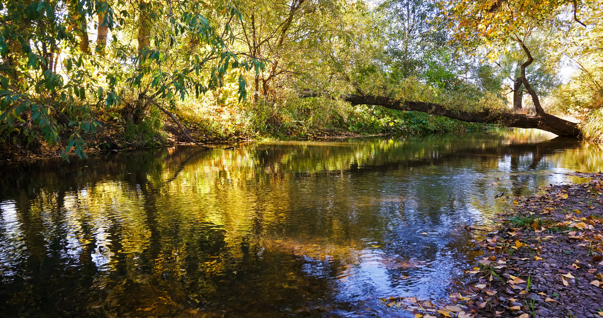 - - Игорь Александрович Оренбург
