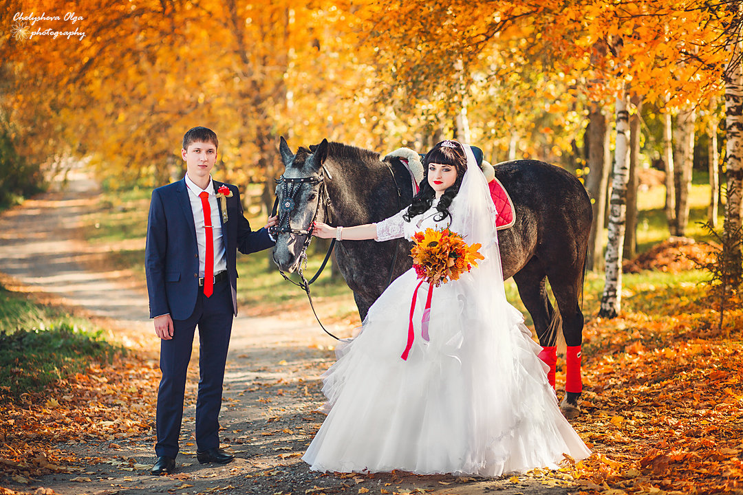 с лошадкой - Ольга Челышева