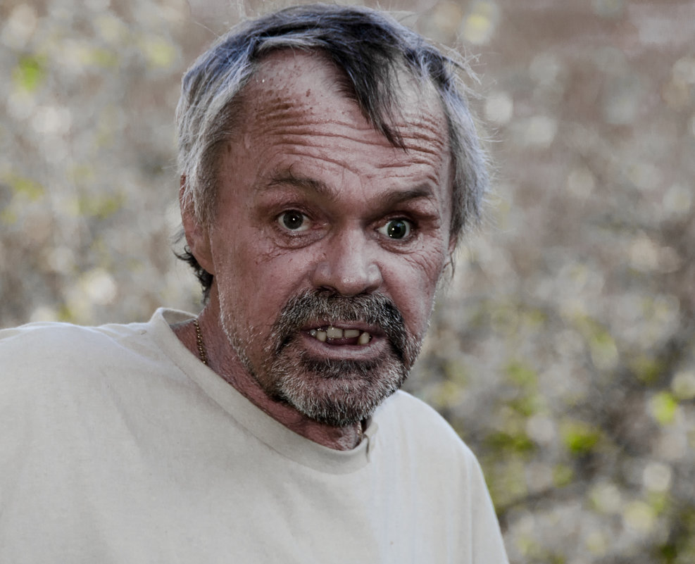 Портрет пенсионера Рябова... - Владимир Шитиков