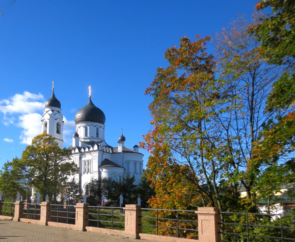 ясный октябрьский день - Елена 