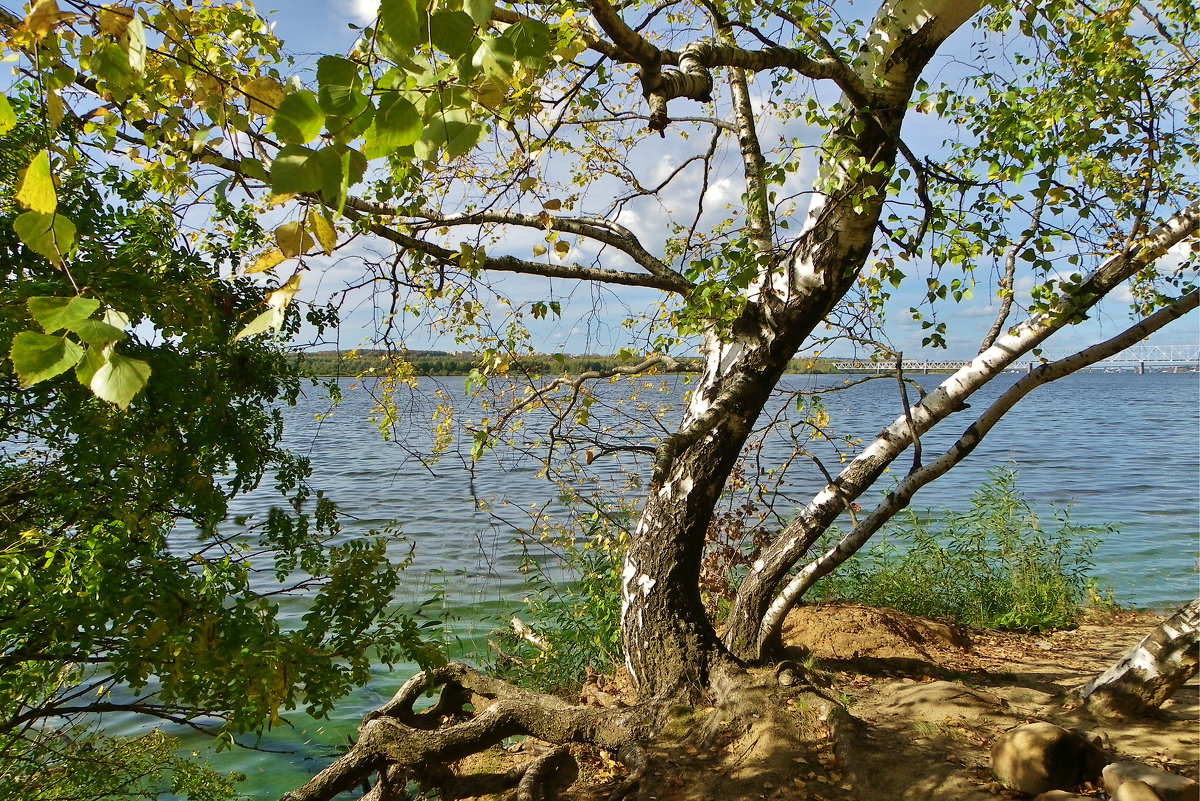 Желание жить - Святец Вячеслав 