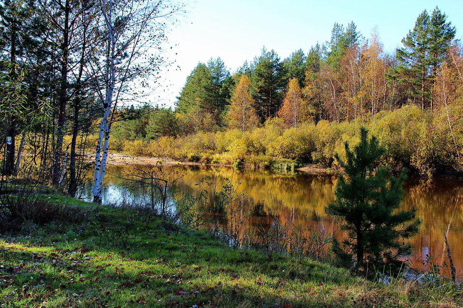 Сентябрь не торопился уходить... - Лесо-Вед (Баранов)