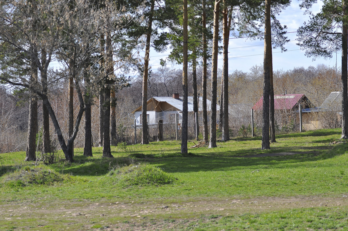 * - Алексадр Крылов