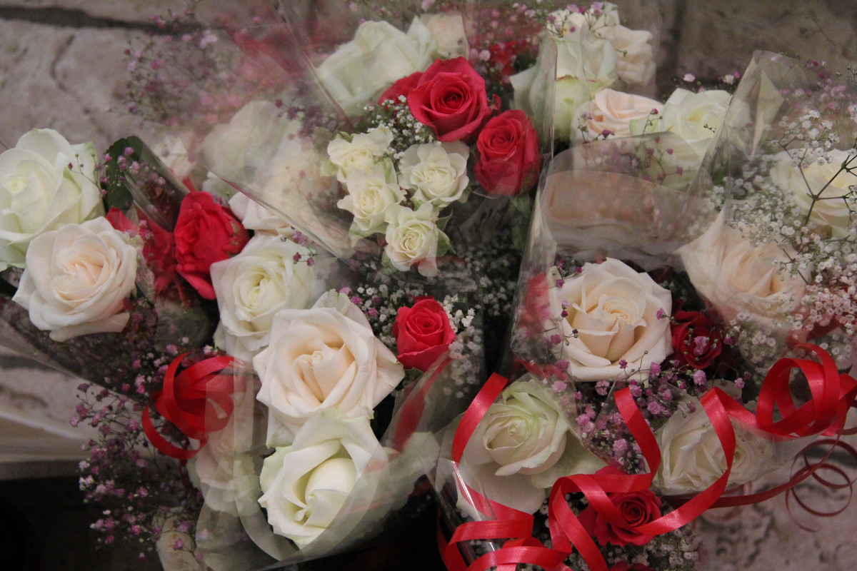 цветы для студентов - Valerija Bilotiene