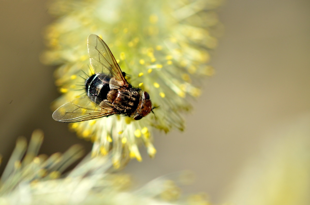 ... - Жанна Мальцева