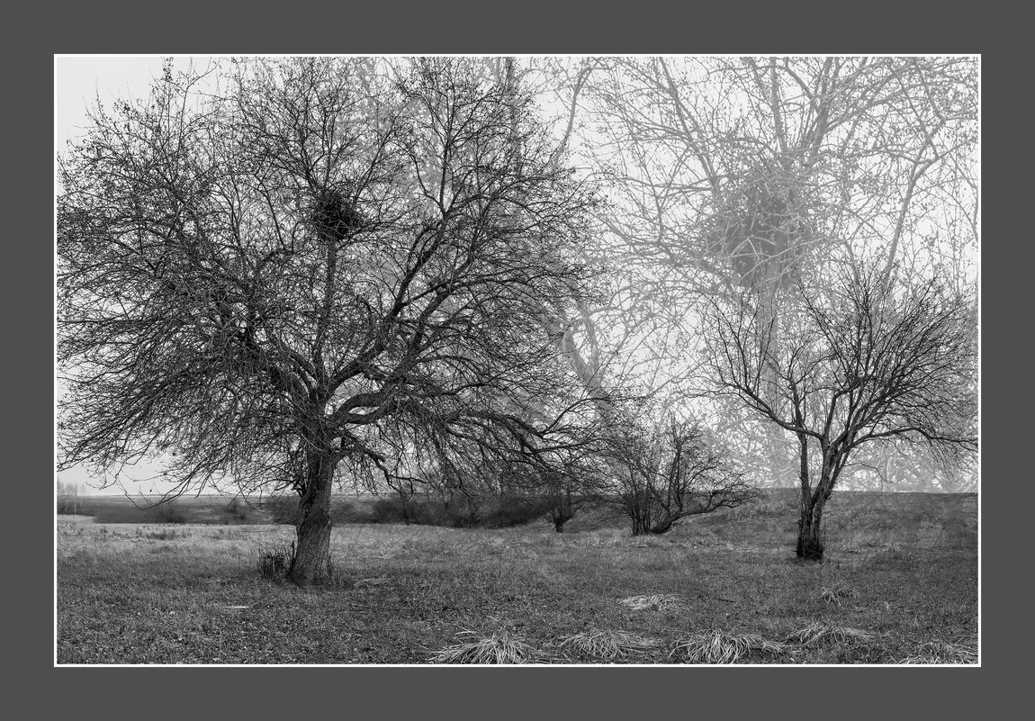 Осень - Евгений Герасименко