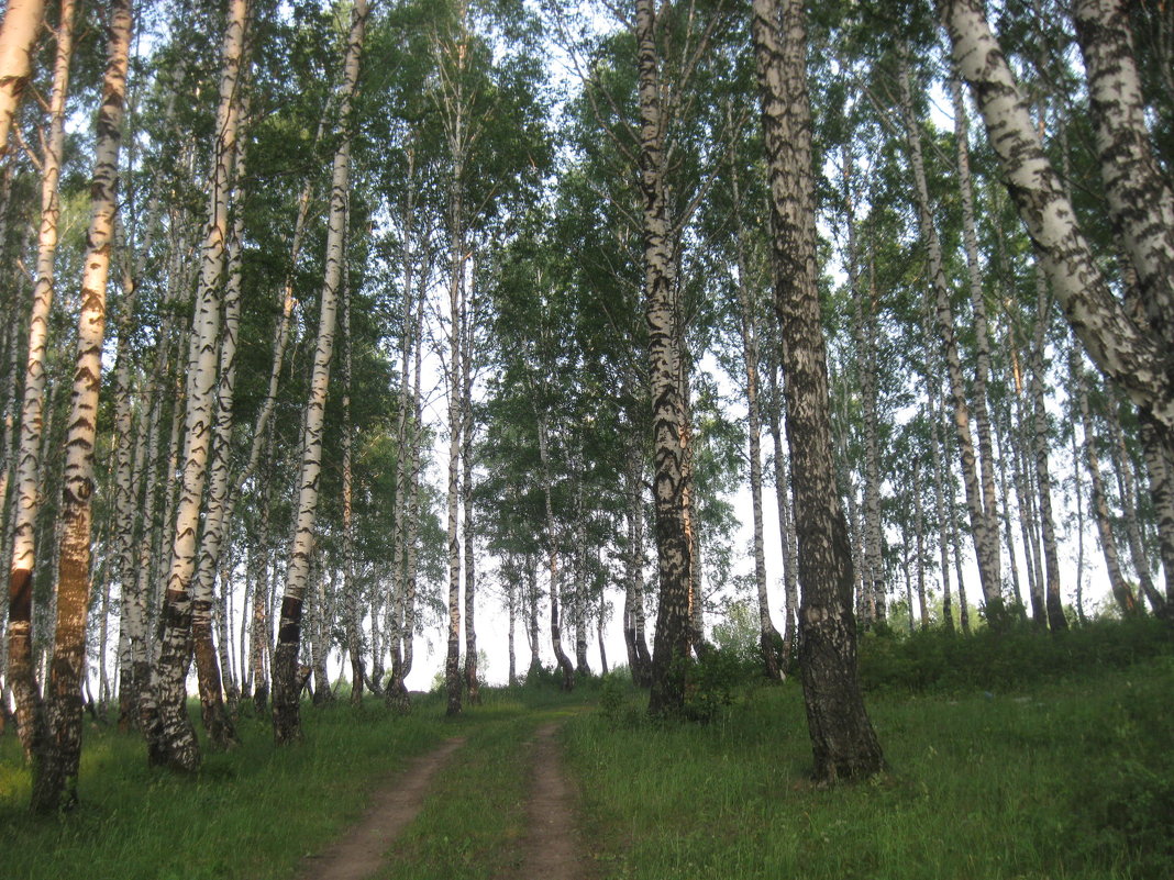 ... - Валентина Журба